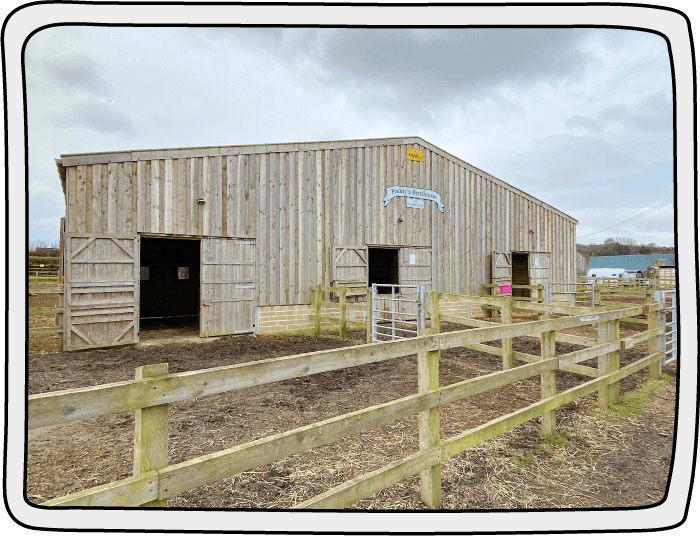 Paddy's penthouse barn at the Isle of Wight Donkey Sanctuary which is used for donkey isolation or for when a donkey is poorly