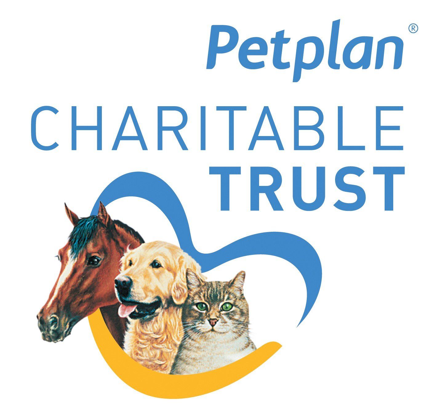 Major gifts and charitable trusts like Petplan can help provide extra accommodation for our donkeys