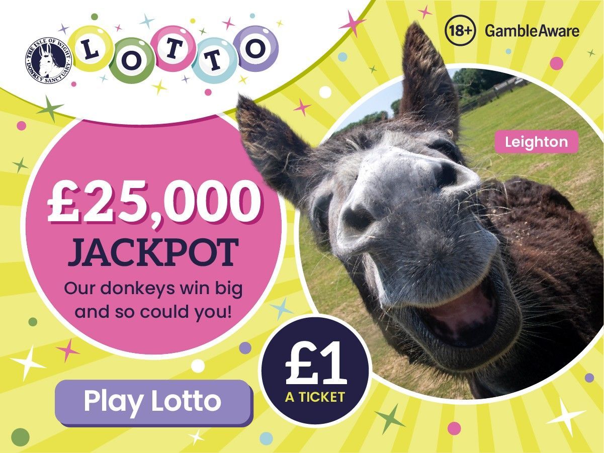 A donkey with its mouth open is on a poster that says it 's a win win