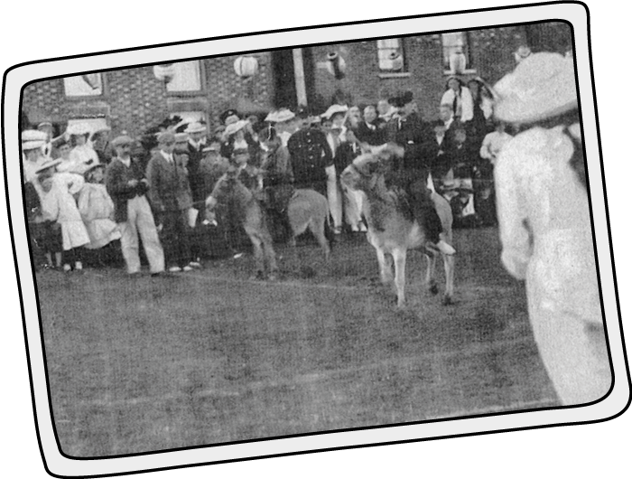 Donkey races at St Helens in 1905, Isle of Wight