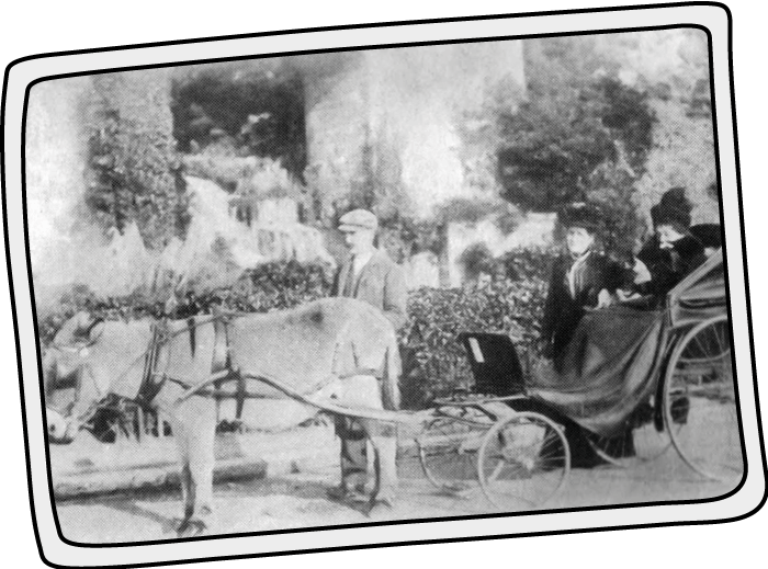 Donkey taxi service in Ventnor on the Isle of Wight in 1900