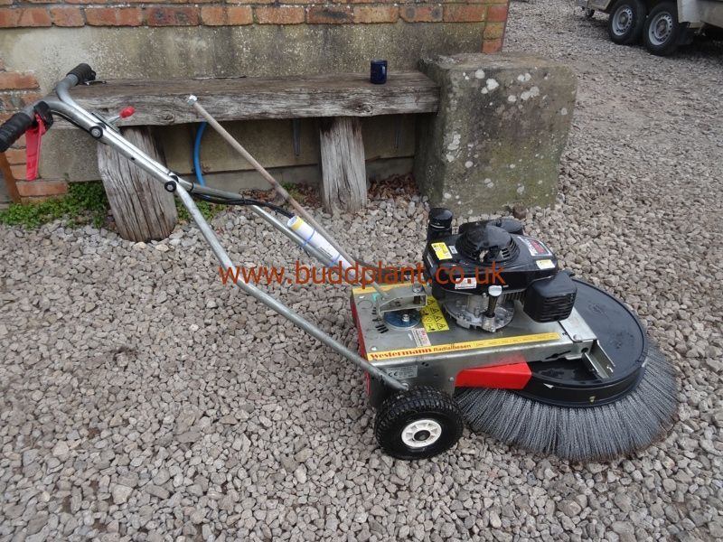 WESTERMANN MOSS/WEED REMOVER BRUSH