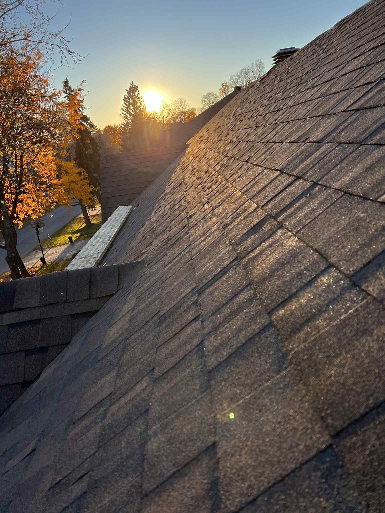 Toit en bardeaux d'asphalte, soleil filtrant à travers les arbres en arrière-plan. Couleurs d'automne visibles.