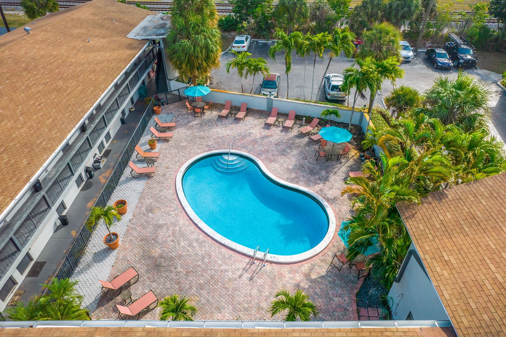 Aerial view of a curved, blue swimming pool surrounded by lounge chairs, umbrellas, and palm trees in a courtyard.