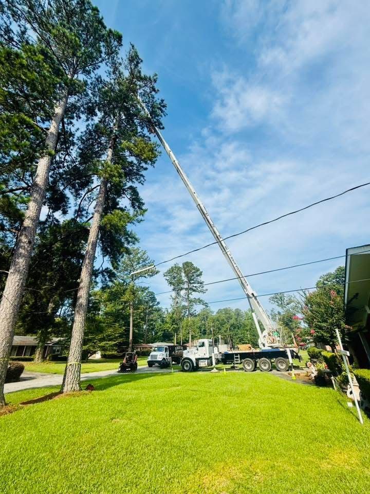 A tree service is using a crane to trim tall trees in a residential yard. The sky is blue with some clouds and a grassy lawn is in the foreground.