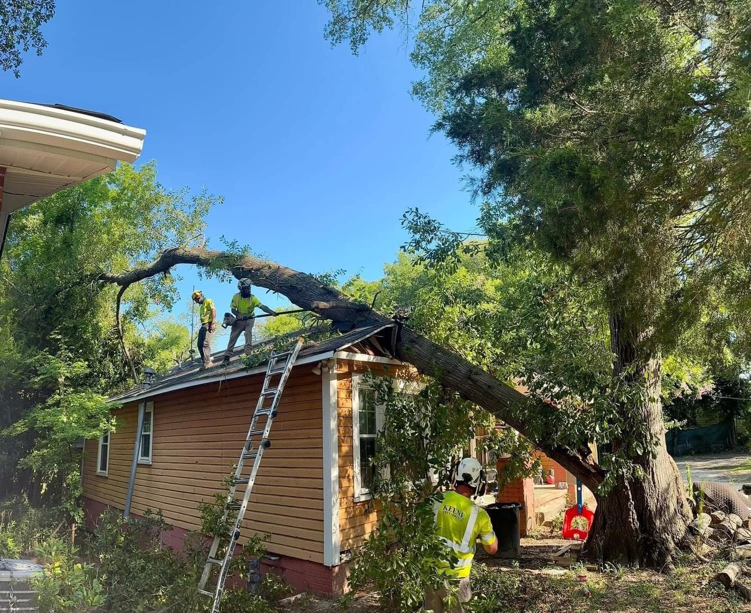 Workers removing a large tree branch from a small, tan-colored house. Two workers are on the roof; another is on the ground.