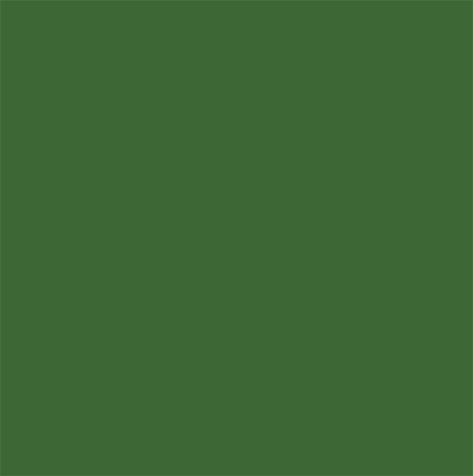 A close up of a green background with a plain texture.