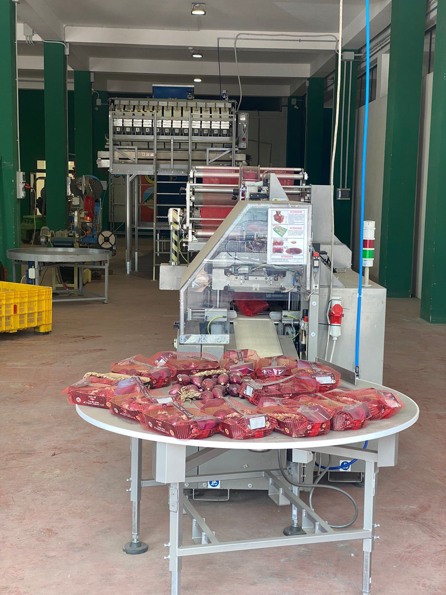 confezionamento di cipollotti rossi per la distribuzione all'ingrosso