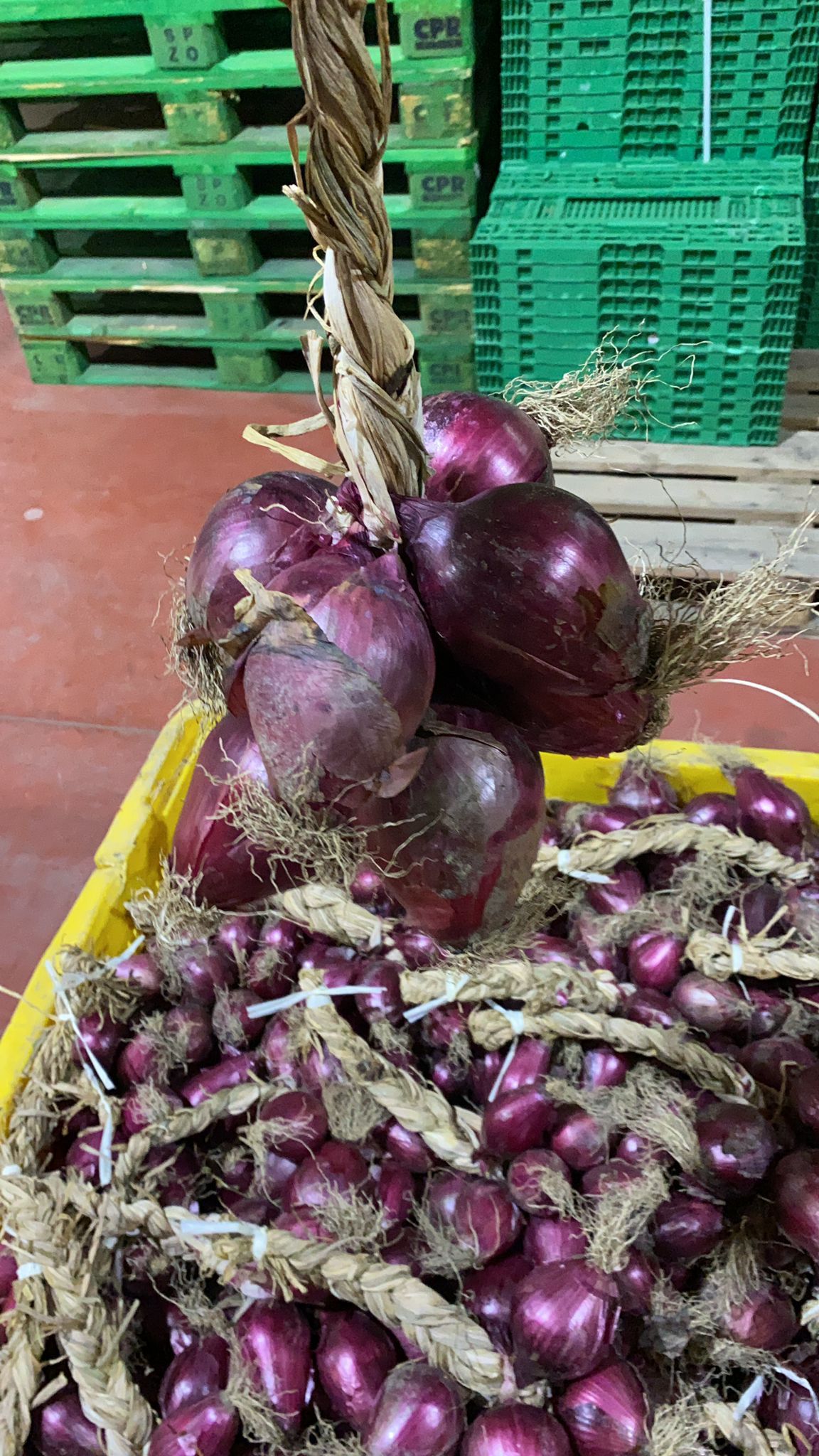 cipolle rosse calabresi