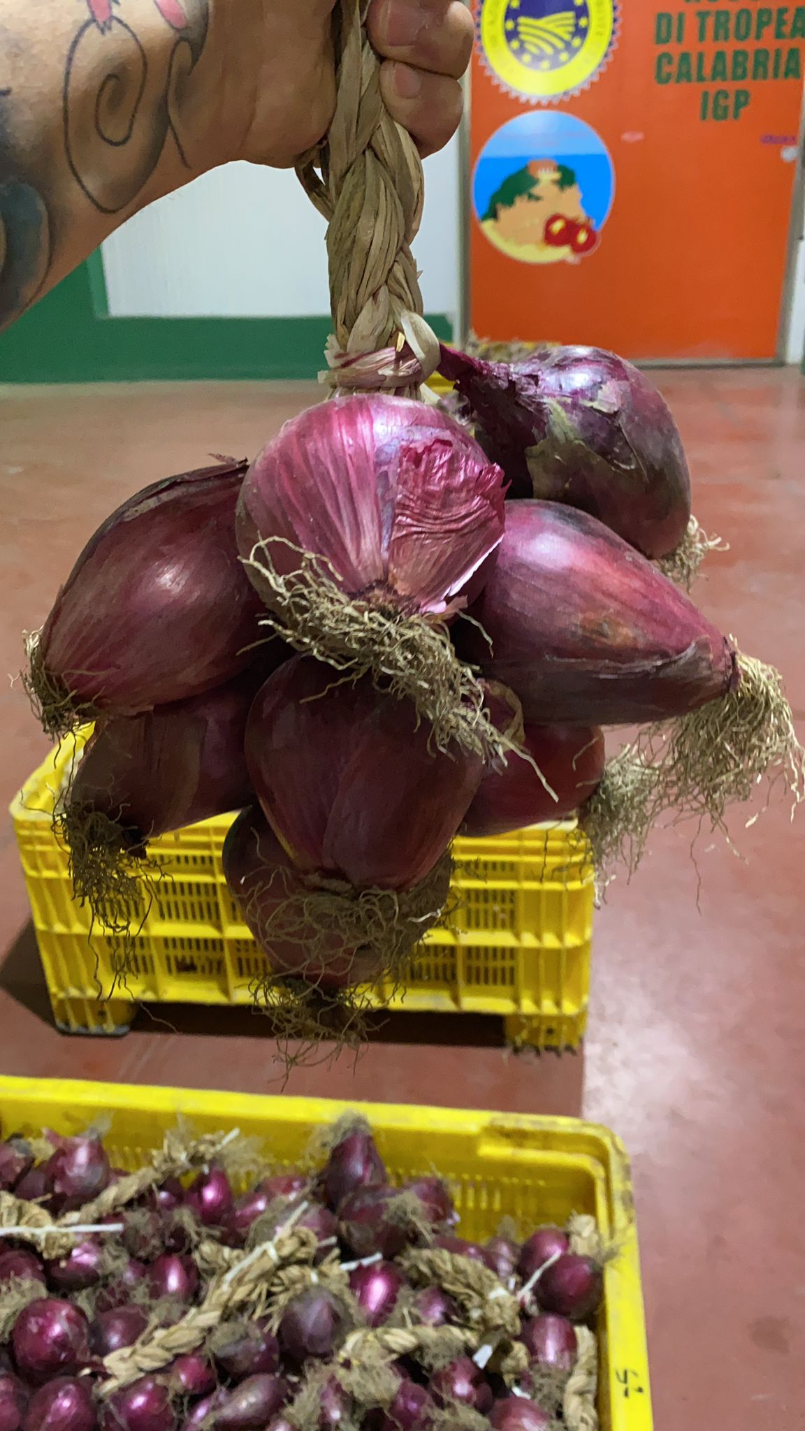 cipolle tipiche della Calabria