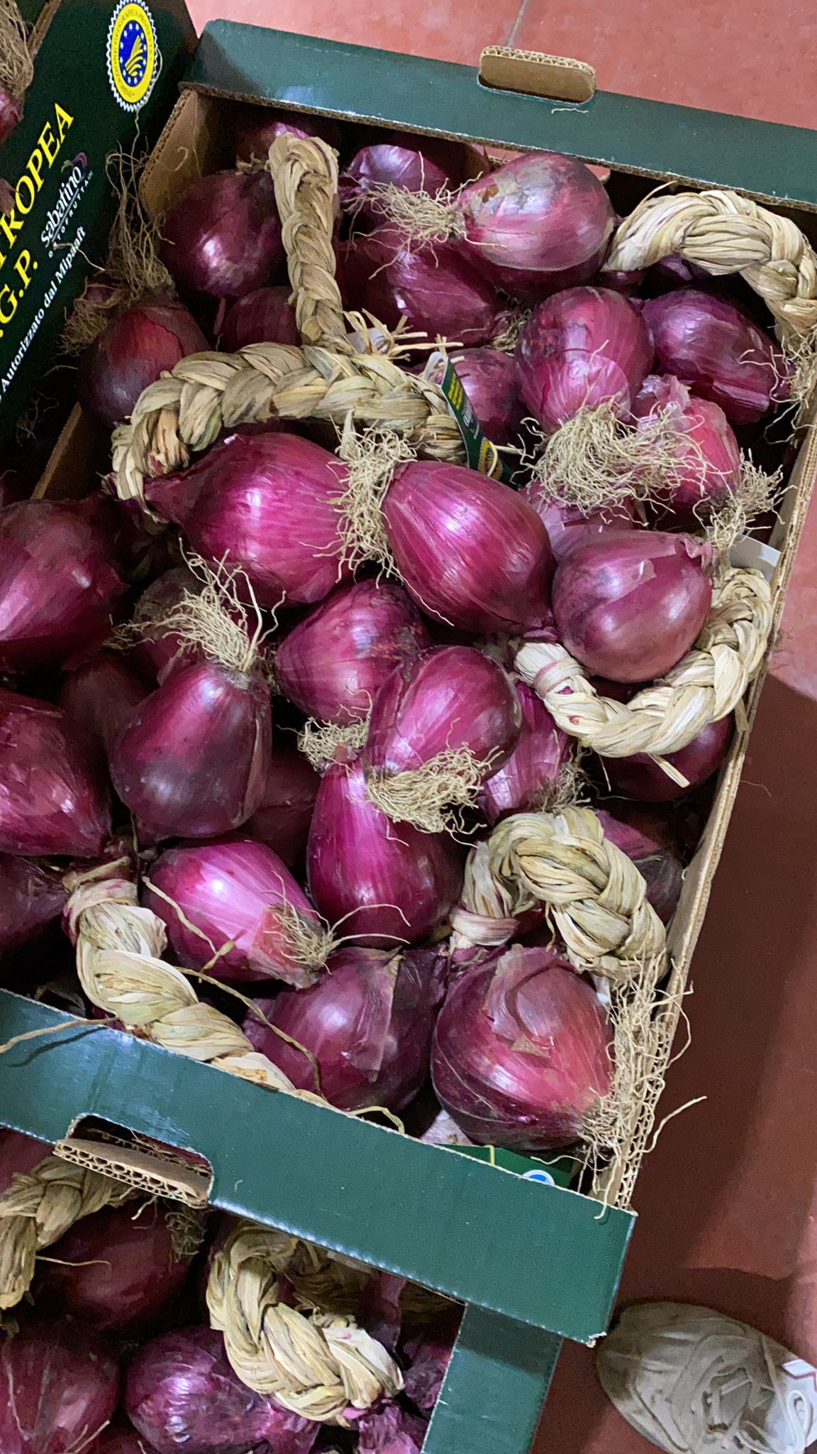 varietà di cipolle rosse di Tropea