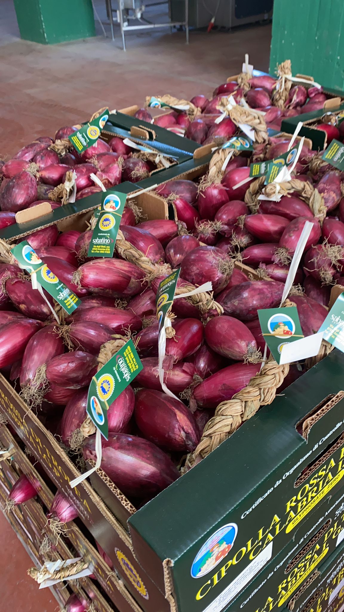 cassetta di cipolle rosse di Tropea