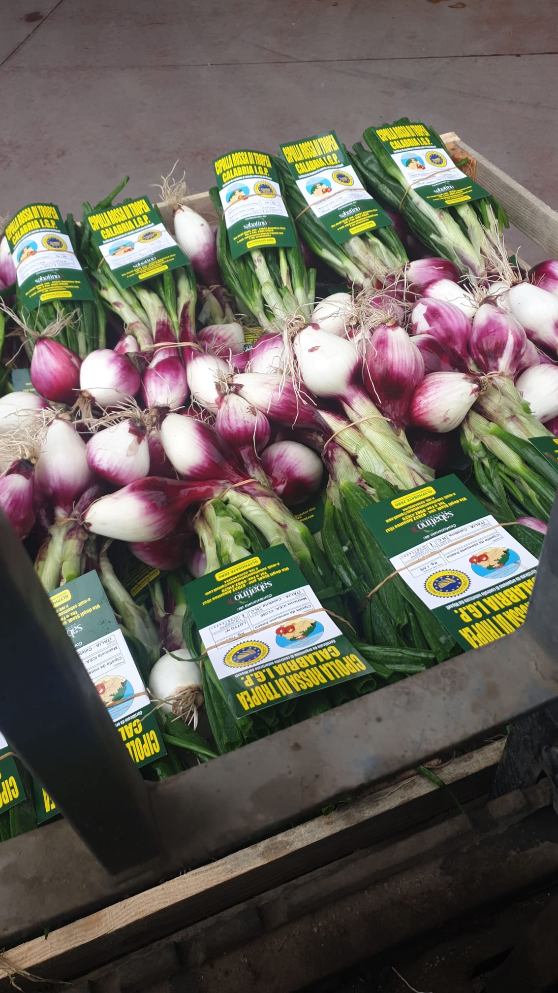 vendita di cipollotti rossi di Tropea