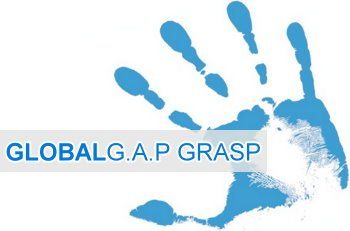 globalgap grasp