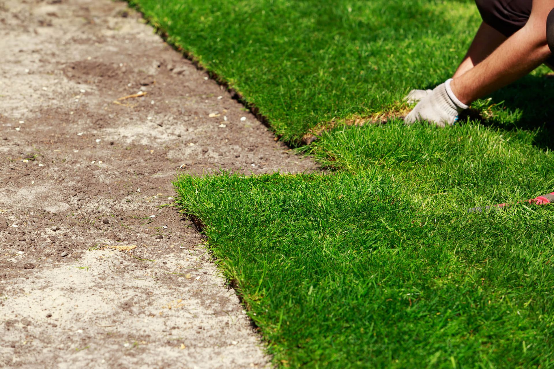 Sod Installation