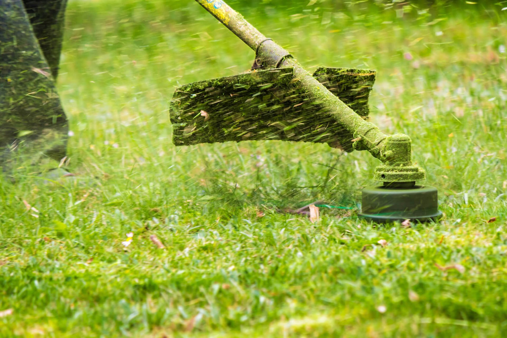 A person mowing wet grass with a push mower, spraying clippings across a green lawn.