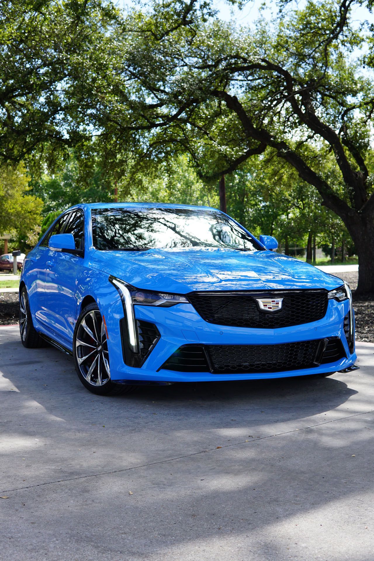 A blue cadillac is parked in a driveway next to a tree.