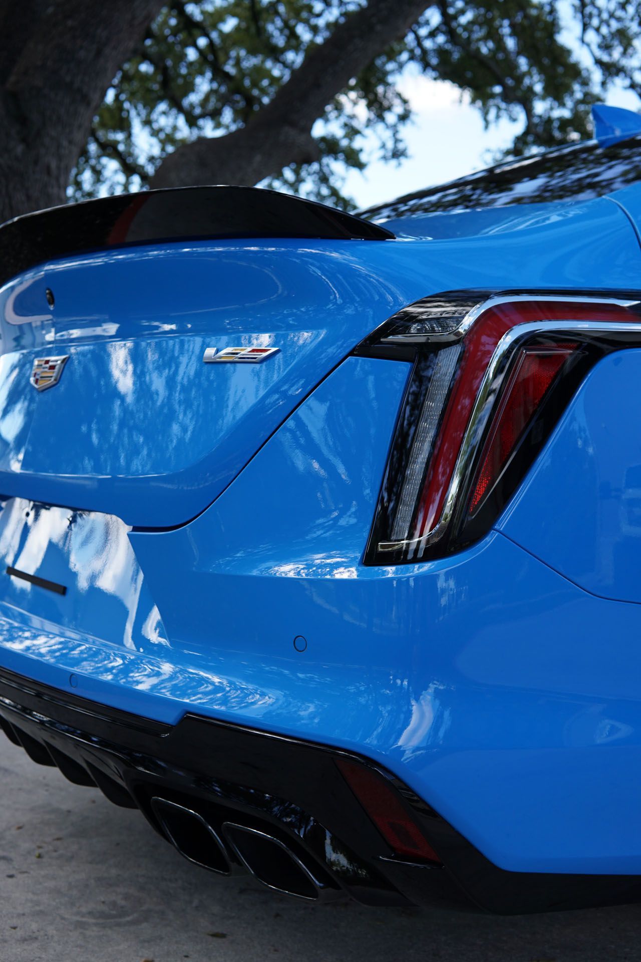 A blue car is parked in front of a tree.