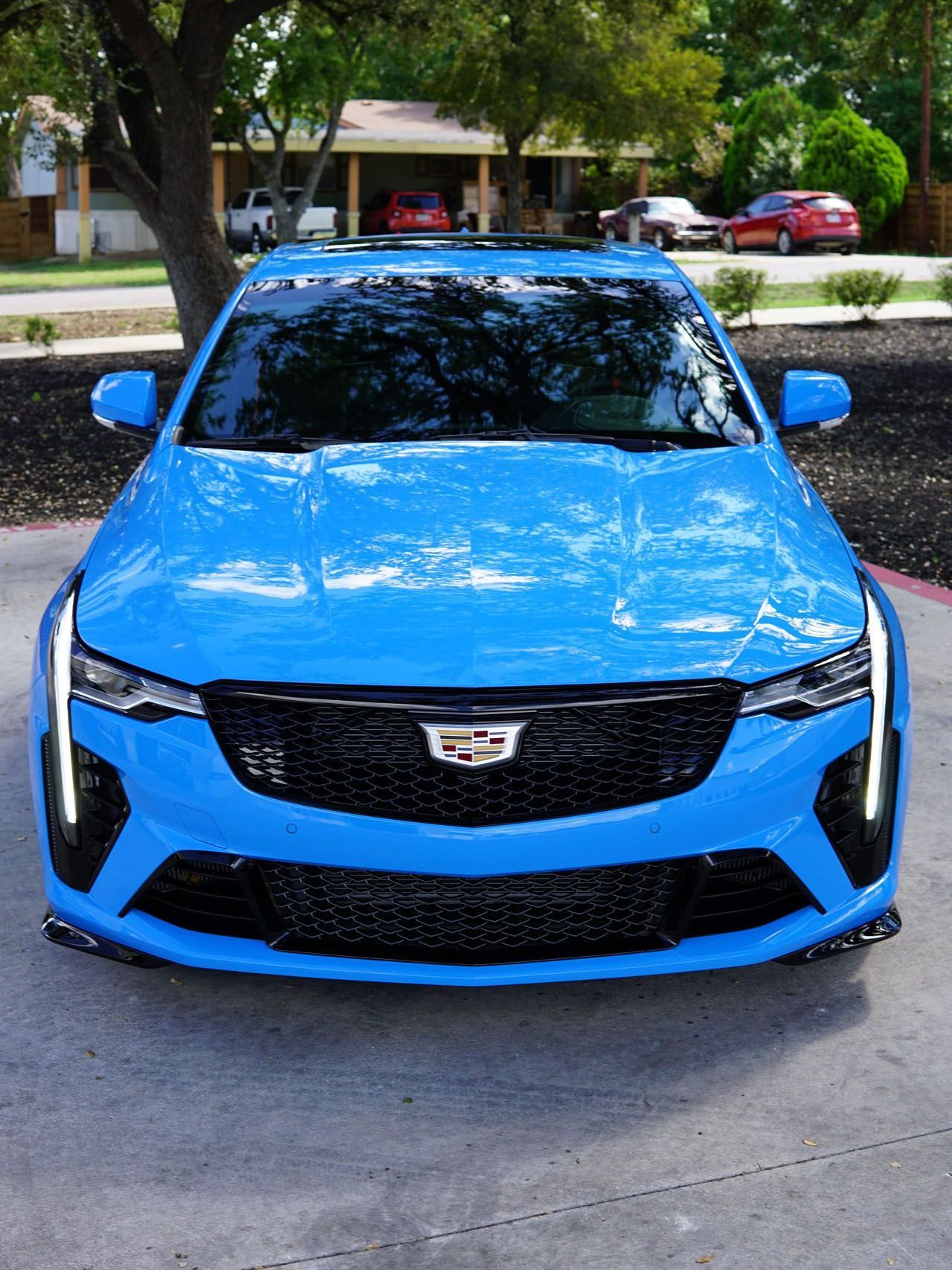 A blue cadillac is parked in a driveway next to a tree.