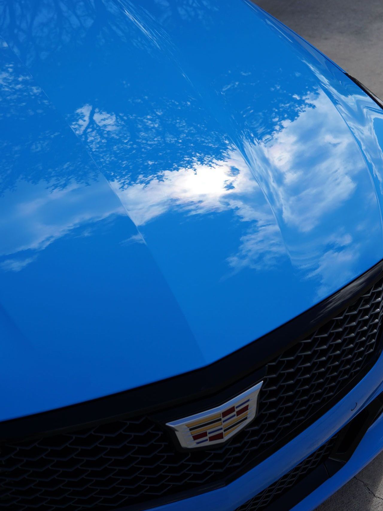 A close up of the hood of a blue cadillac.