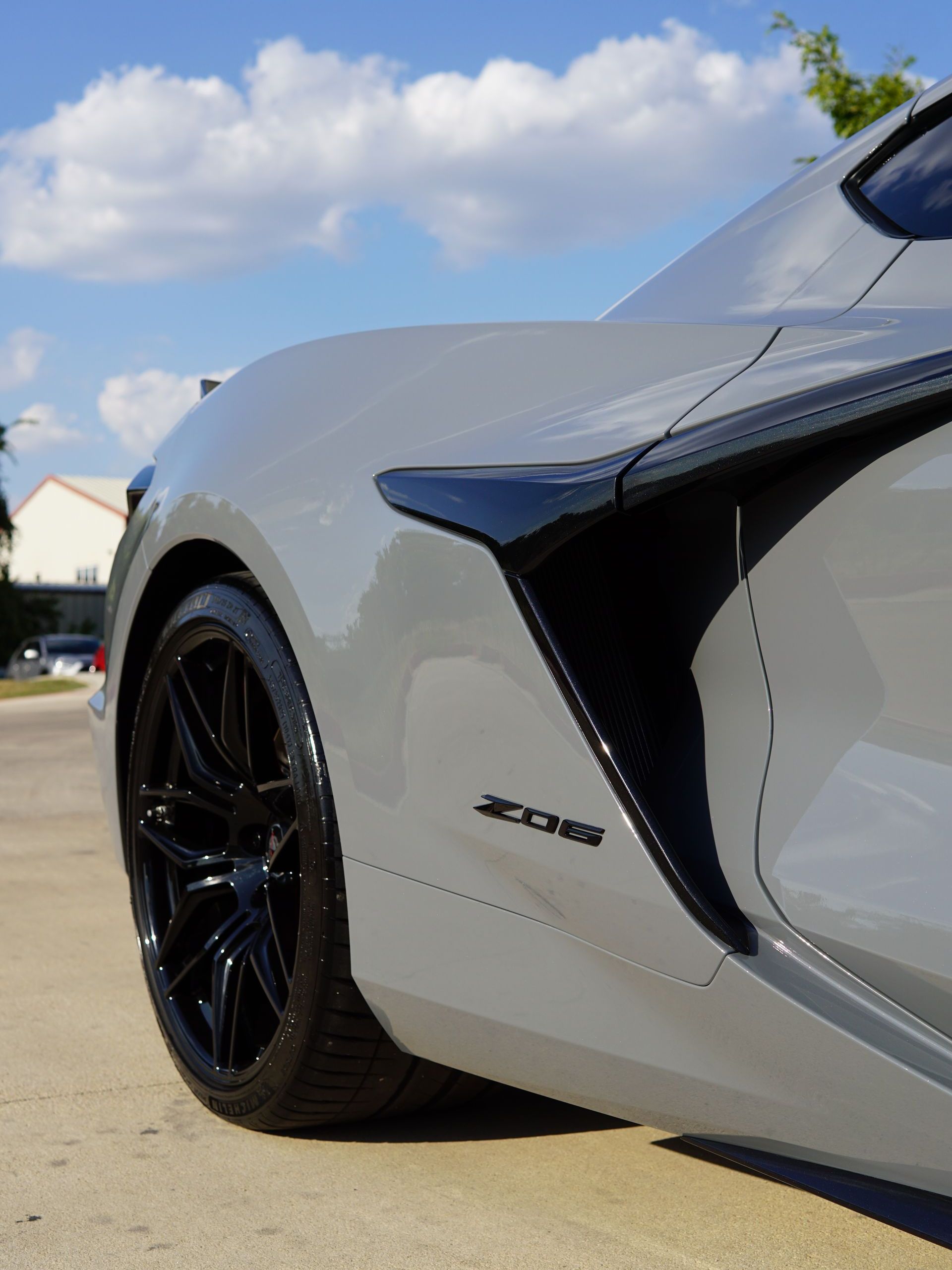 A black sports car is parked under a tree