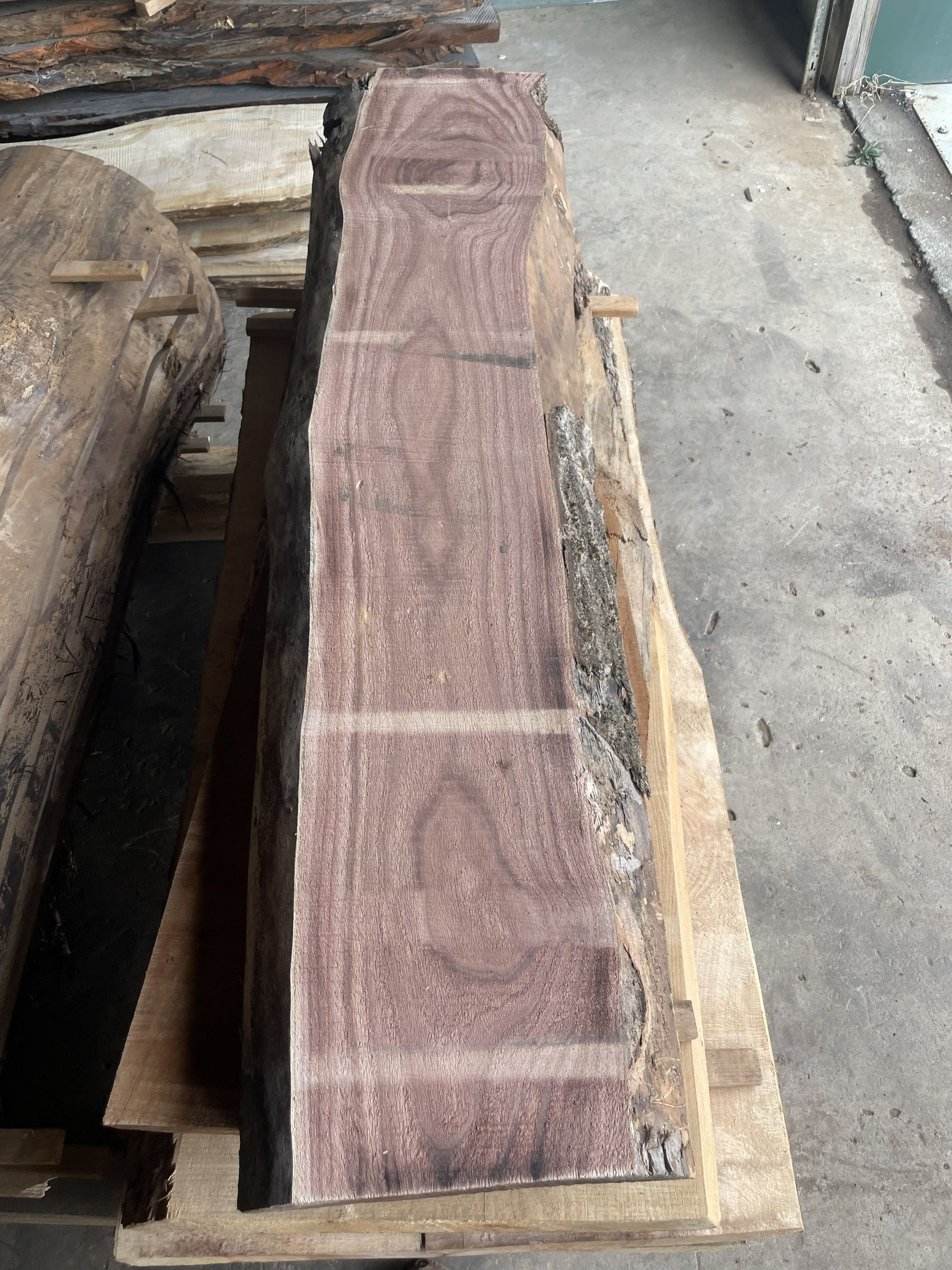 Empress Tree Live Edge Slab