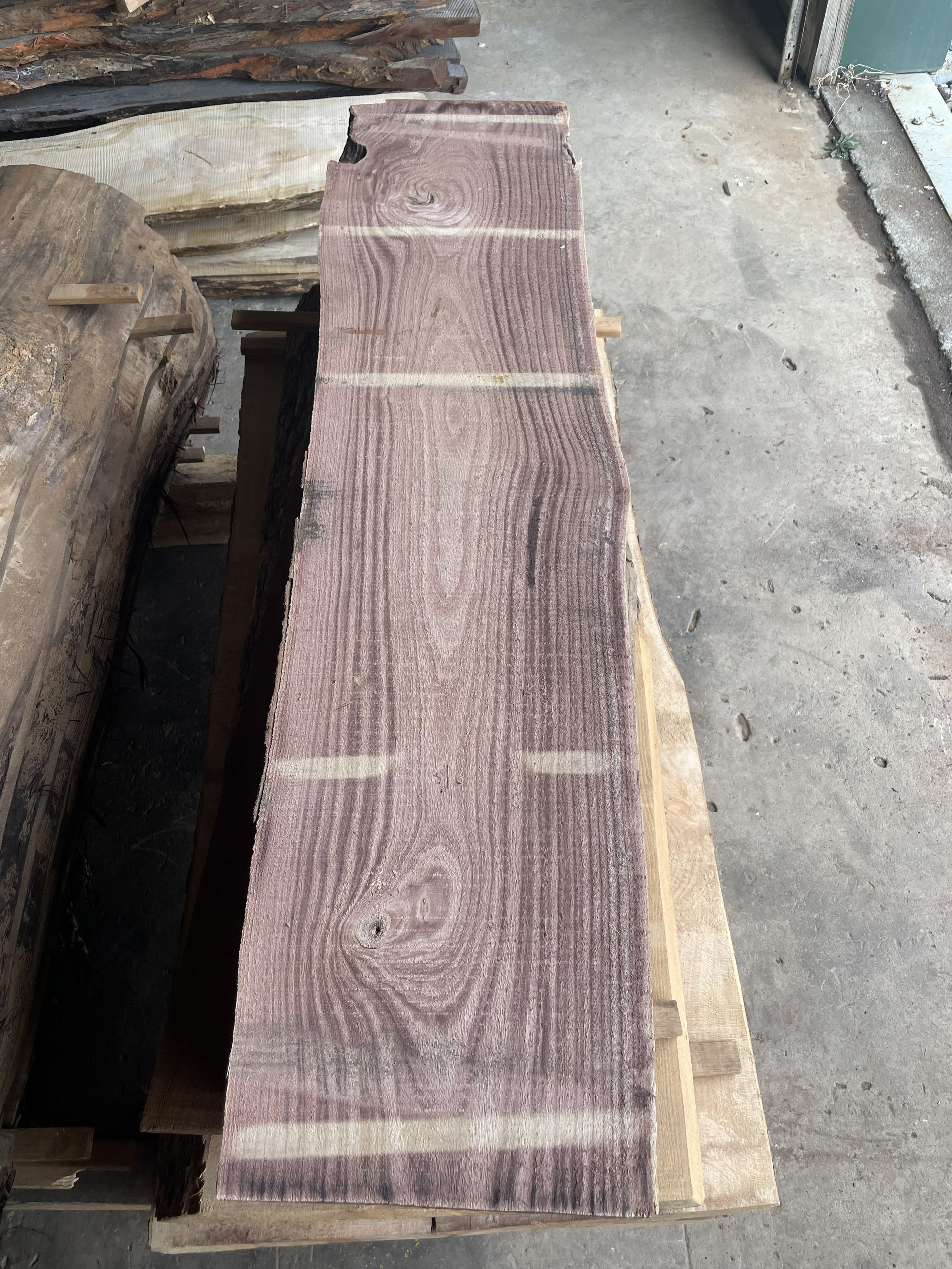 Empress Tree Live Edge Slab