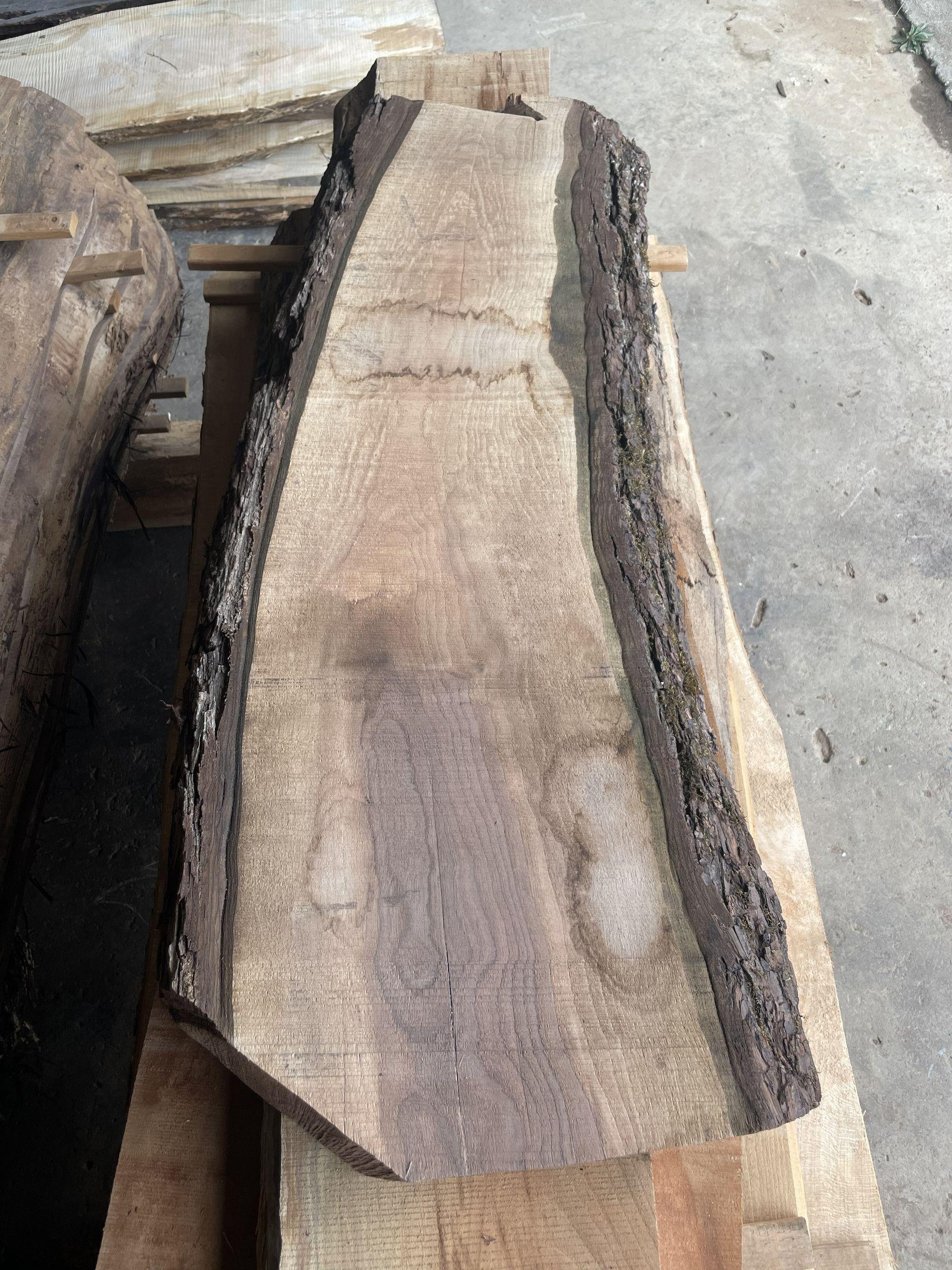 Walnut Slab Photo