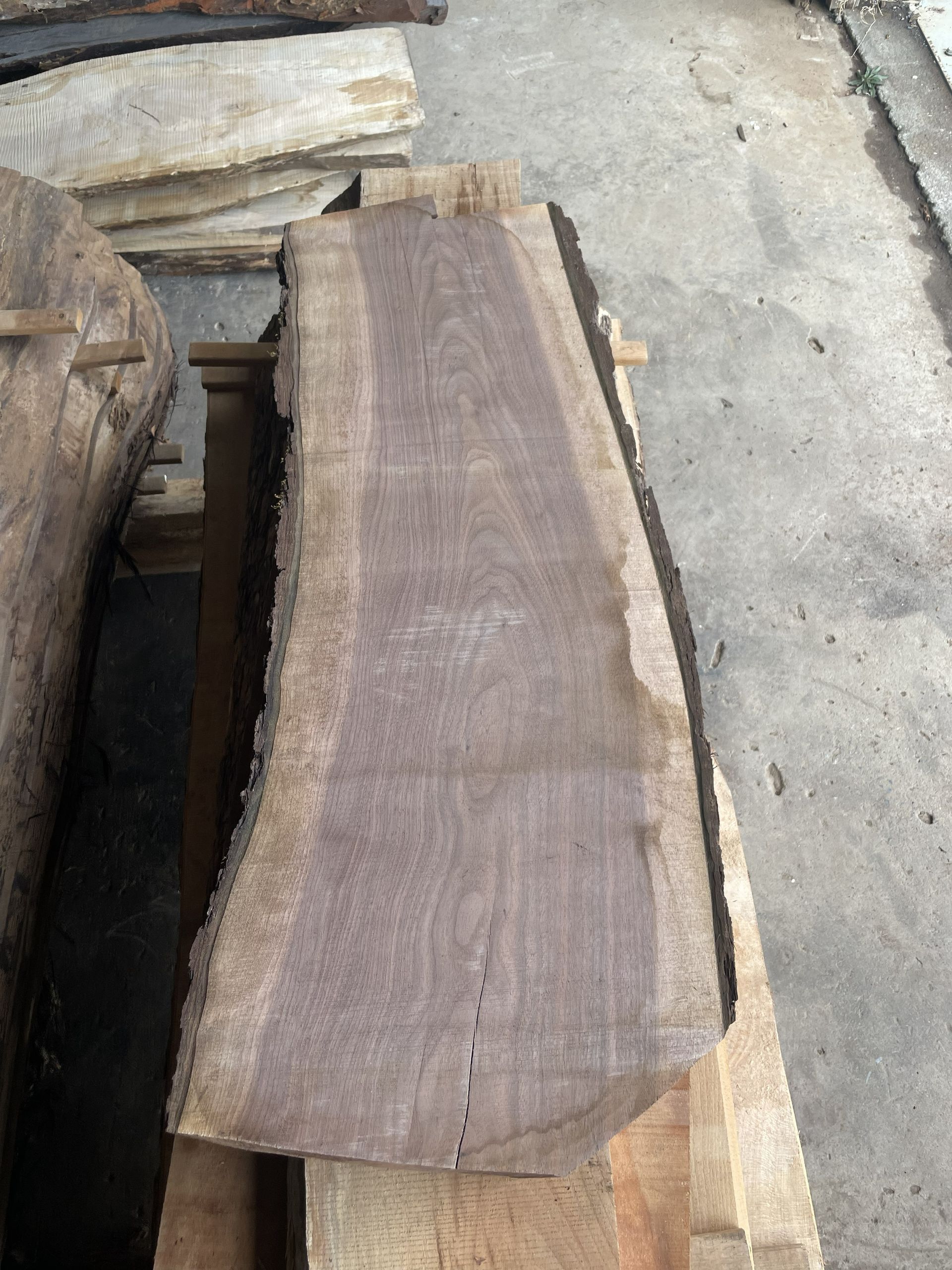 Walnut Slab Photo