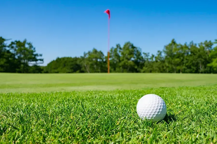 Golf ball on green