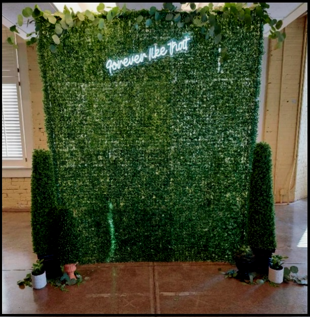 A green wall with a neon sign that says forever like not