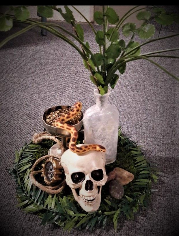 A skull with a snake on top of it
