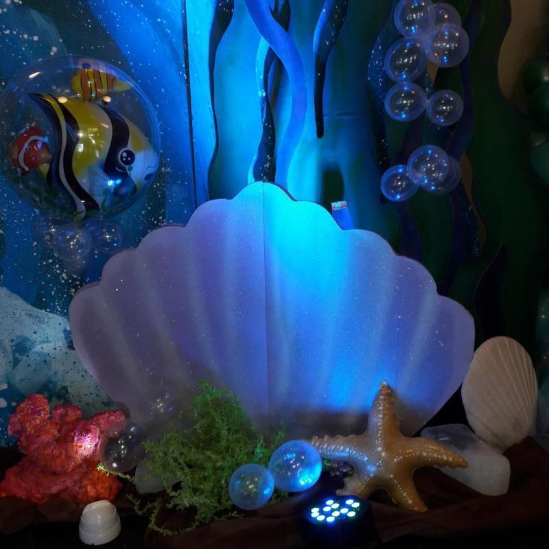 A seashell is surrounded by seaweed and bubbles in an aquarium