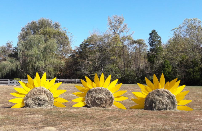 Three sunflowers made out of hay bales are sitting in a field.