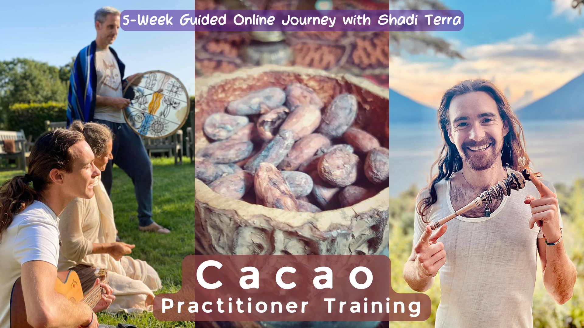 cacao seedpod raw harvest