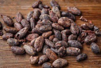 cacao beans roasted and peeled