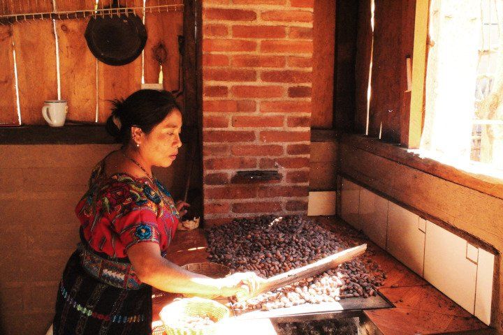 cacao roasting guatemala