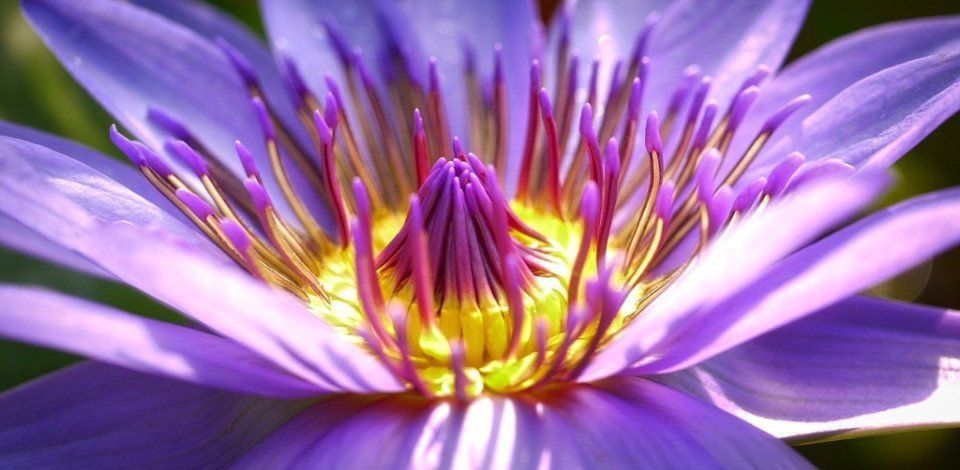 transforming spiritual narcissism