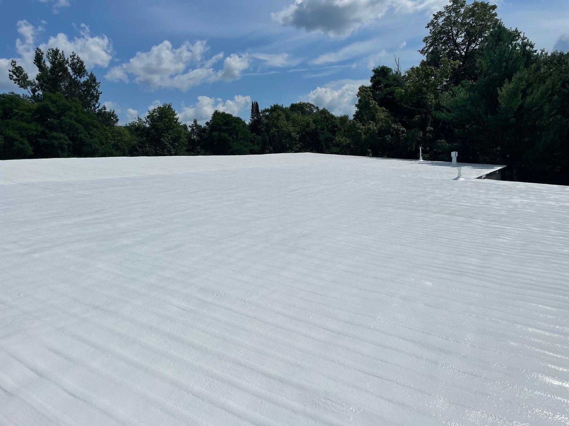 White flat roof, ribbed texture, blue sky with clouds, trees in the background.