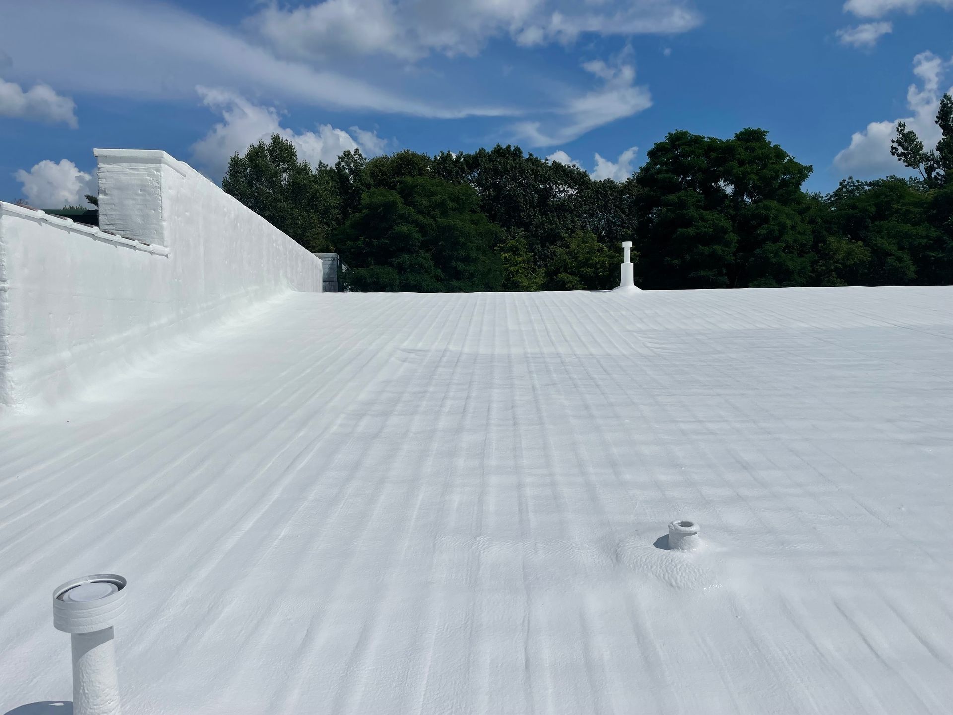 White-coated commercial roof with a slightly blue sky, trees in the background, and various white pipes.