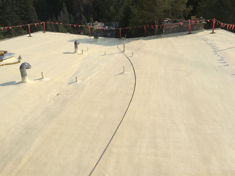 Tan foam-covered commercial roof with vent pipes. Red safety barriers in the background, trees visible in the distance.