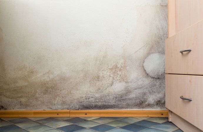 4 Unexpected Places To Find Mold