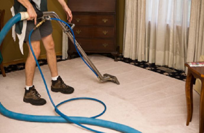 Carpet Cleaner