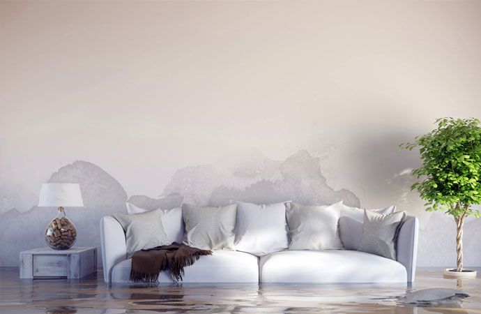 Flood Damage and Water Damage