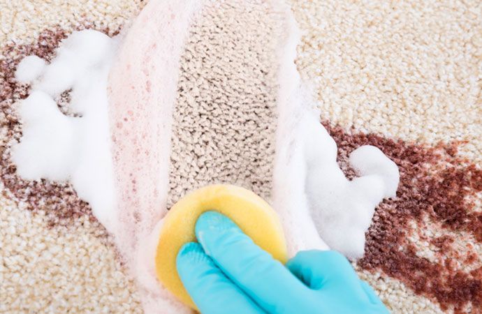 Carpet Stains from Outdoor Activities