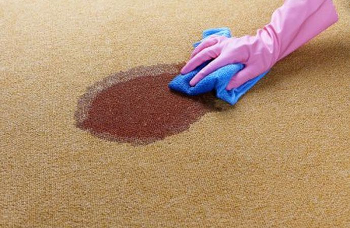 3 Types of Carpet Stains and Advice on How to Clean Them