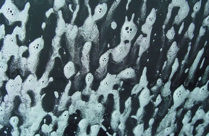 A Guide to Cleaning Your Windows