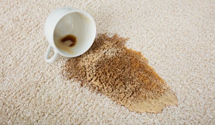 Scotchgard Protection 1