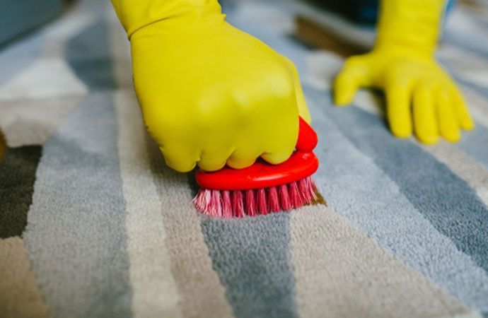 Carpet Cleaning