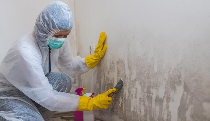 Mold Remediation